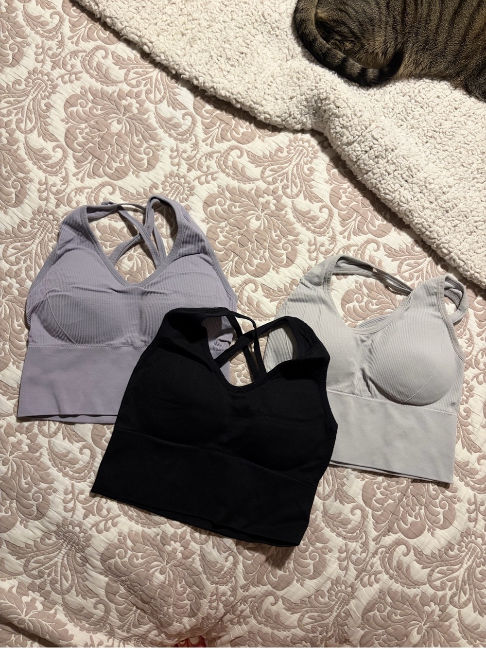 Seamless Padded Crossback Bralettes - Black, Tan, Lavender